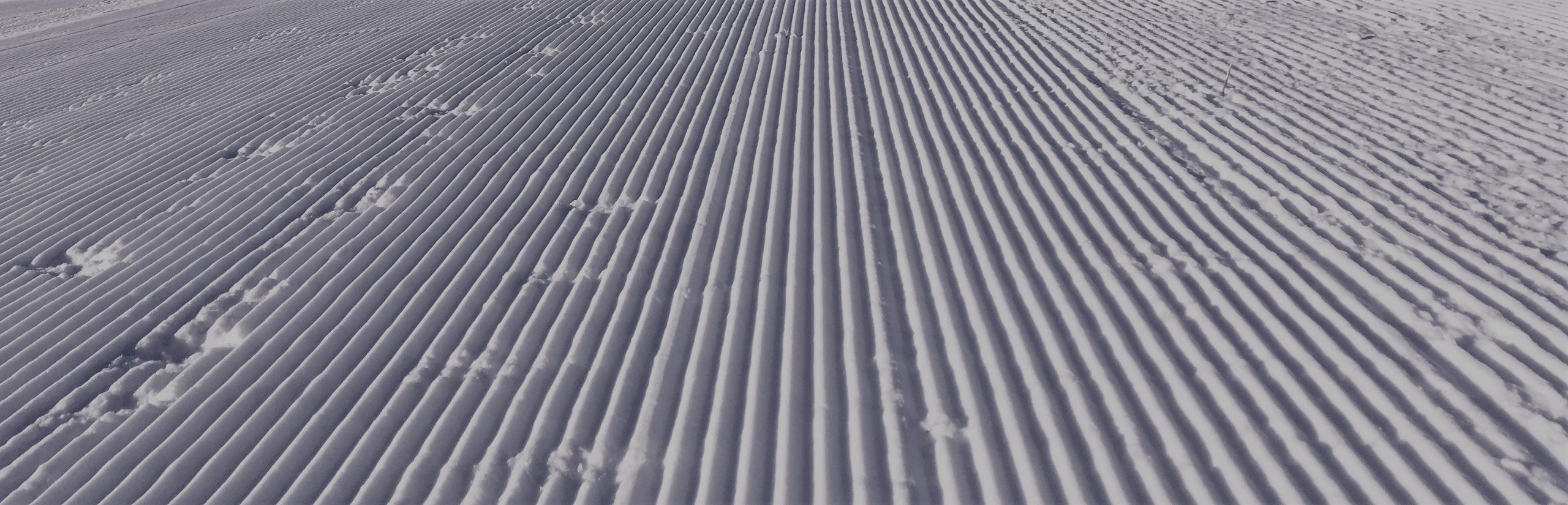 FollowMeToSki. Professional and Superior Private ski lessons in Morzine, Avoriaz, Les Gets.